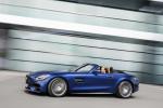 Mercedes-AMG GT C Roadster 2019 года (WW)